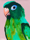 'Green Bird' Framed Canvas Print