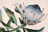 'Asking Too Much Of You' PAPER PRINT
