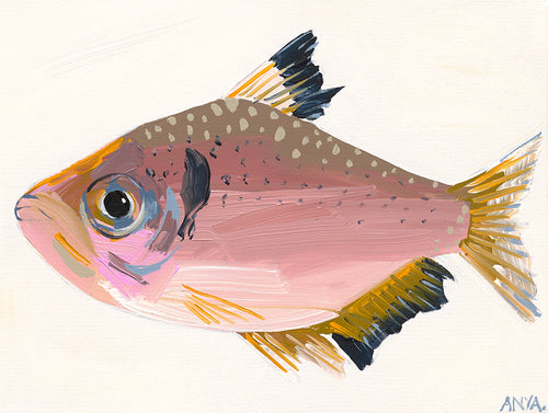 'Fish Twenty One' PAPER PRINT