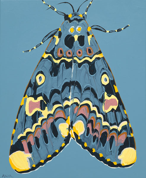 'Moth no.48' CANVAS PRINT