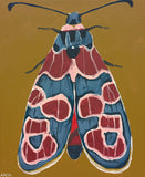 'Moth no.49' CANVAS PRINT