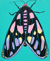 'Moth no.52' CANVAS PRINT