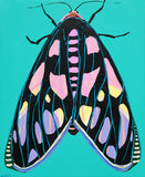 'Moth no.52' CANVAS PRINT