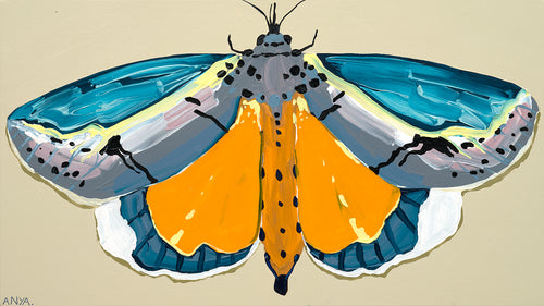 'Moth no.55' PAPER PRINT