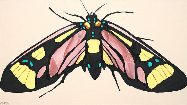 'Moth no.60' CANVAS PRINT