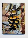 'Burnt Pod'