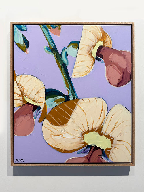'Eutaxia #3'