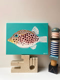 'Fish Eighteen' CANVAS PRINT