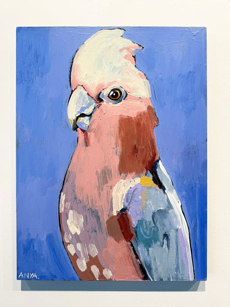 'Galah'