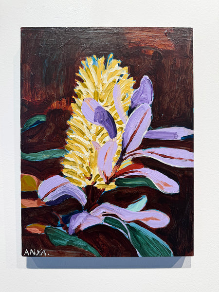 'Grevillea'