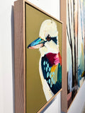 'Kookaburra No.1'