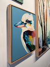 'Kookaburra No.2'