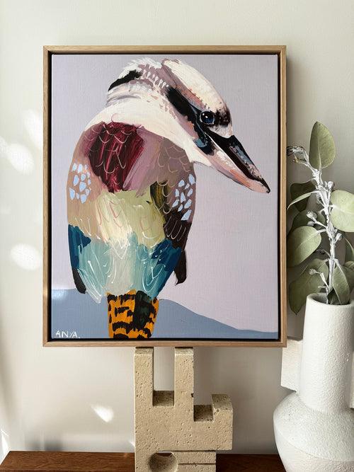 'Kookaburra Three' Framed Canvas Print