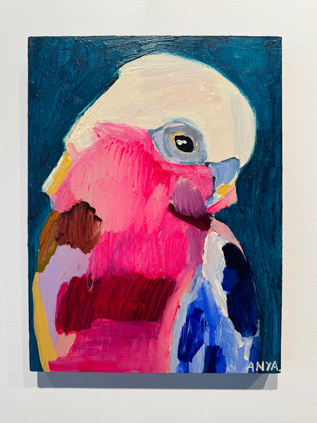 'Little Galah'