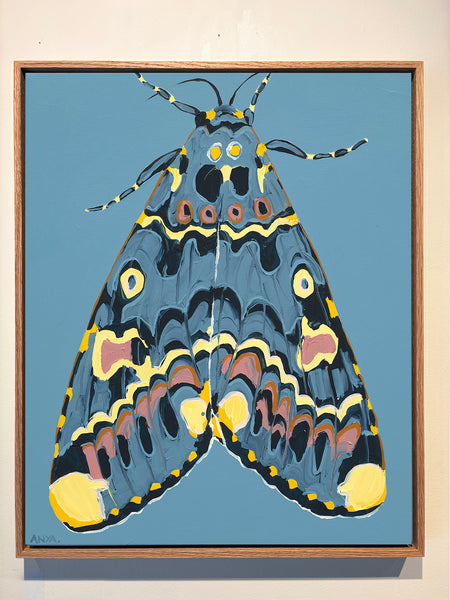 'Moth no.48' PAPER PRINT