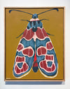 'Moth no.49' CANVAS PRINT