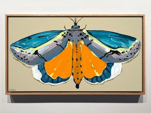 'Moth no.55' CANVAS PRINT