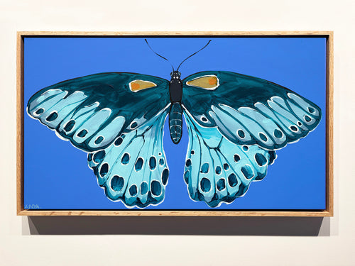 'Moth no.62' CANVAS PRINT