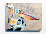 'Pelicans'