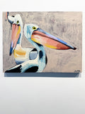 'Pelicans'