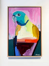 'Pink Parrot'
