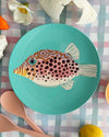 Single Plate