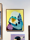 'Yellow Budgie'