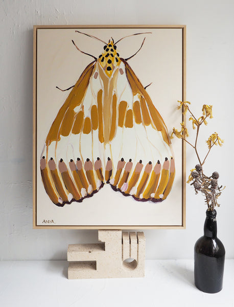 'Moth #2' Paper PRINT