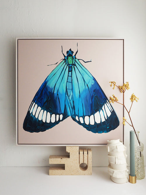 'Moth #35' CANVAS PRINT