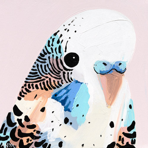 'Budgie One' PAPER PRINT