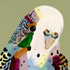 'Budgie Two' PAPER PRINT