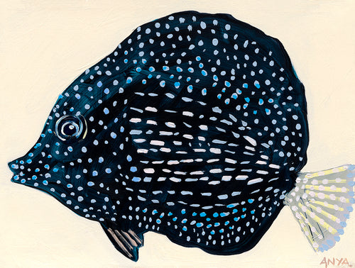 'Fish Four' PAPER PRINT