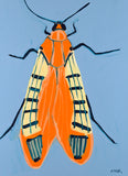 'Moth #1'
