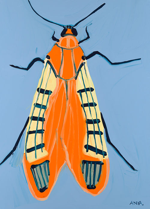 'Moth #1' Paper PRINT