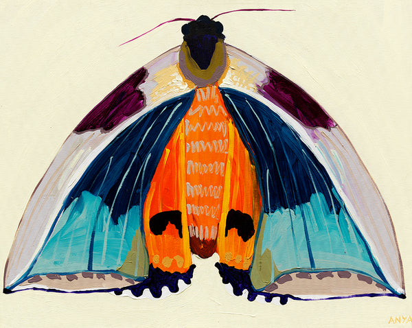 'Moth #28' PAPER PRINT
