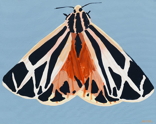 'Moth #29' PAPER PRINT