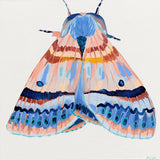 'Moth #31'