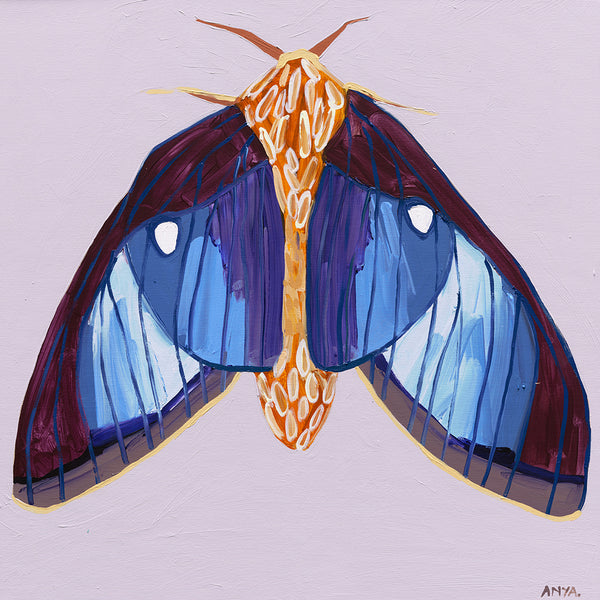 'Moth #32' PAPER PRINT