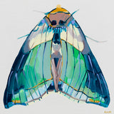 'Moth #34'