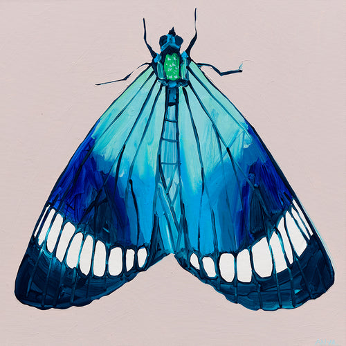 'Moth #35' PAPER PRINT