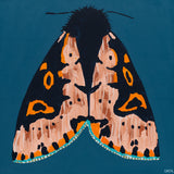 'Moth #37'