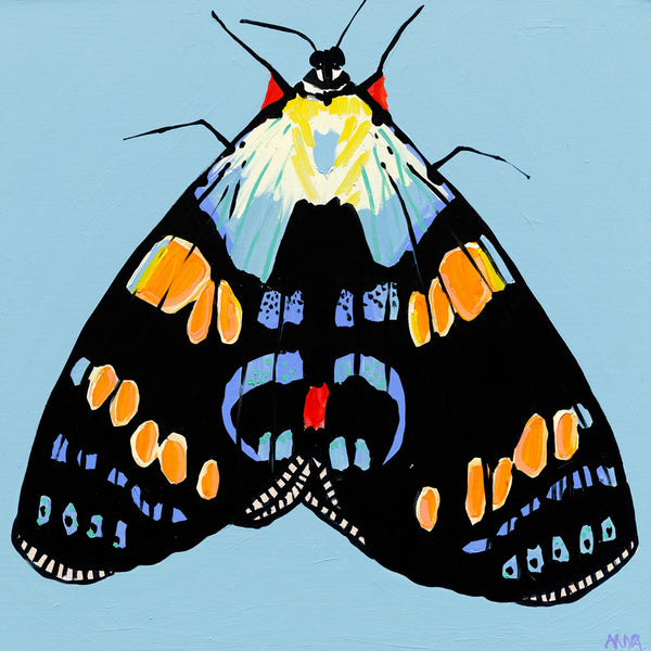 'Moth #39' CANVAS PRINT