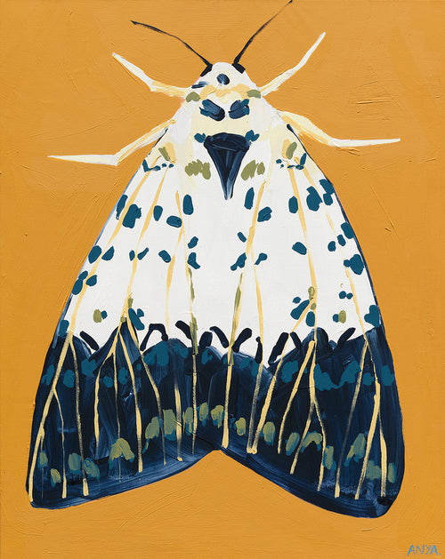 'Moth #40' PAPER PRINT