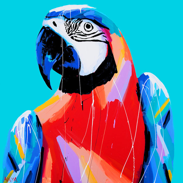 Anya Brock bright macaw artwork
