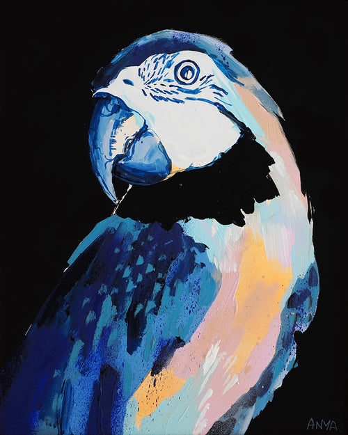'Black Macaw' PAPER PRINT