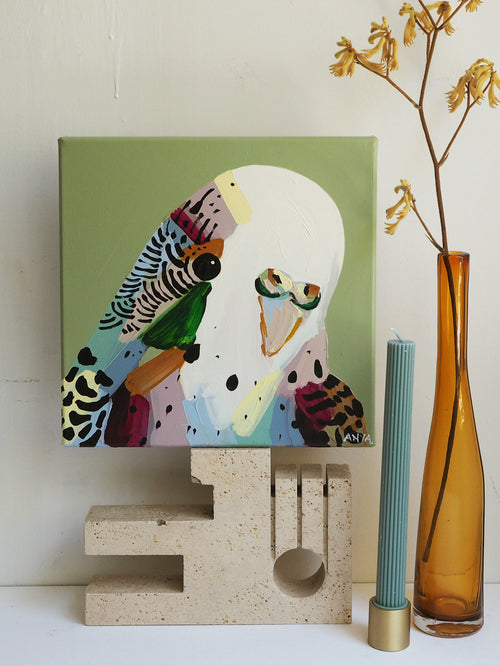 'Budgie Two' CANVAS PRINT
