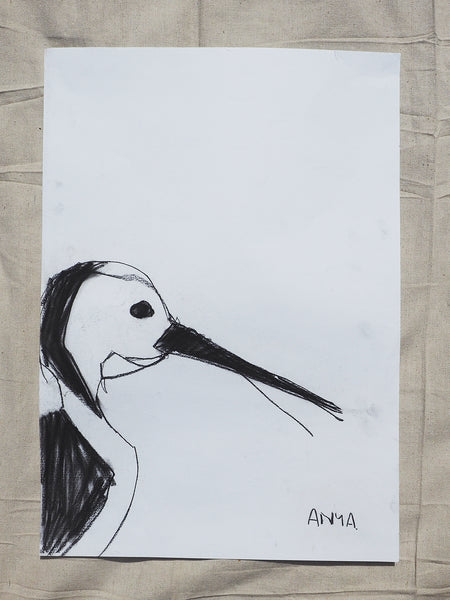 'Little Stork'