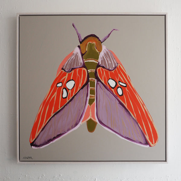 'Moth #10'