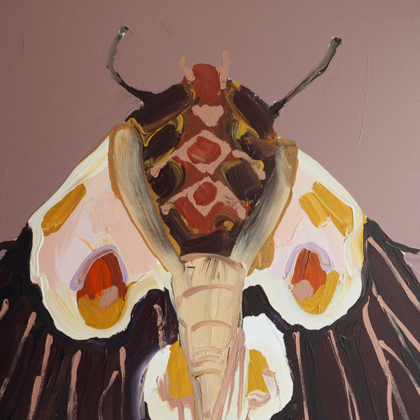 'Moth #11'