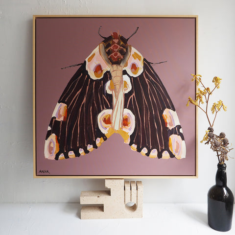 CANVAS PRINT | Moth #11 | Anya Brock